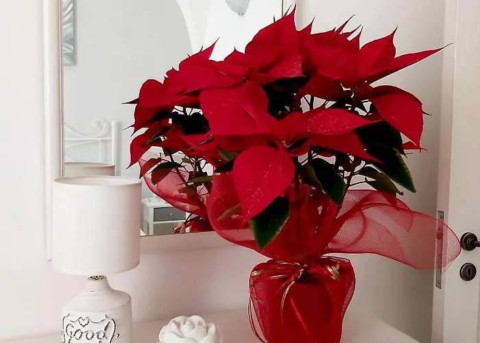 Dom wakacyjny Borgo Diaz